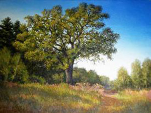 Barnstead oak-tree_img_0714-hwk.jpg
