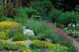 Chichester Garden Reinhardt-garden.jpg