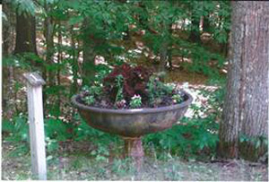 Pittsfield Picture_2-Watering_Tub,_Catamount_Road_(4) copy.jpg